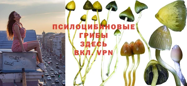 эйфоретик Переславль-Залесский