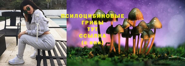 MDMA Аркадак