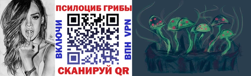 цена наркотик  Серов  Галлюциногенные грибы Psilocybe 